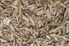 biomass boilers Glib Cheois